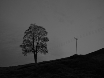 Landscape as a work of fiction. 2022