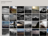 Landscape as Autofiction. 2024